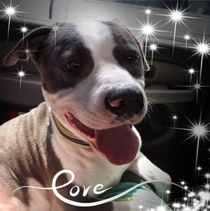 Meet your Posher, Ryla